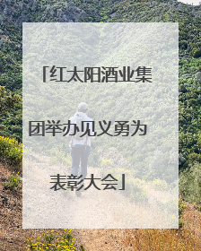 红太阳酒业集团举办见义勇为表彰大会